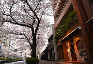 Régulier - 春には桜並木となる明治通りに面した店舗