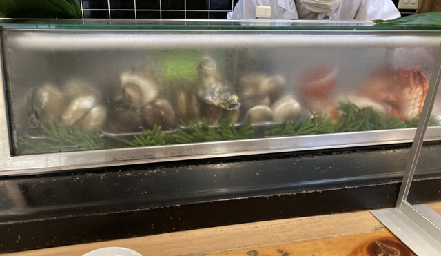 Makita Zushi photo 2