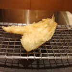 天㐂あらた - 鱚