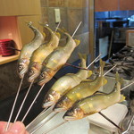 静岡県藁品川の鮎