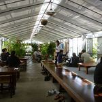 根ッ子うどん - うどん専門店 根ッ子 讃岐うどん（香川）