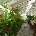 根ッ子うどん - うどん専門店 根ッ子 讃岐うどん（香川）