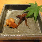 じどりや 穏座 - いさだの炊いたん、えびまめ