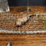 Yakitori Wain Hoshino - 