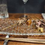 Yakitori Wain Hoshino - 