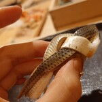 鮨 赤酢 かなやま - 