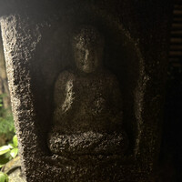料理 小松 - 