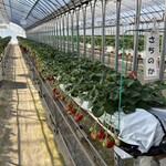 高井農園 - 