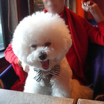 Rue Favart - これからディナーよ〜♬