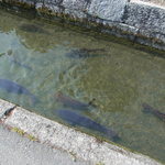 じどりや 穏座 - 新旭②