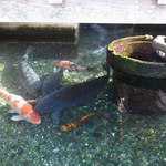 じどりや 穏座 - 新旭⑨