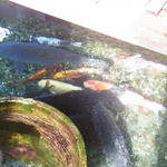 じどりや 穏座 - 新旭⑩