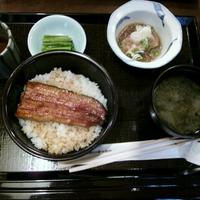 割烹 蒲焼 大沼 - 以前