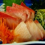 菊乃家本店 - 寒ブリ刺 接写