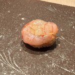 登喜和鮨 - 佐渡産の南蛮海老