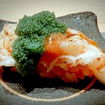 Sushi Ei - 北陸のなにか海老。新鮮でなくては食べられないので流通していない。