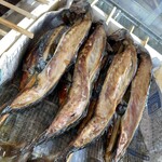 浜焼き ようちゃん - 