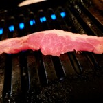 美味しいお肉の店 やまの - 