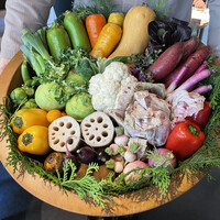 レフェルヴェソンス - 