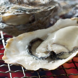 Raw or grilled! Akkeshi Oyster