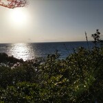 至善天遊 - 敷地内遊歩道からの眺め