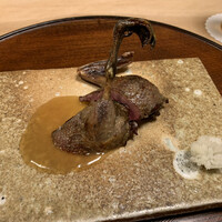 柚木元 - コガモ