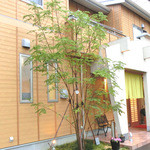 海老一統 - 遠くからでも、目を引く外観。２０１０年築、新しく立派な建物です。