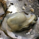 Kakigoya - 殻が閉じてたジューシー牡蠣