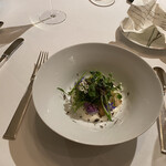 ロドラント ミノルナキジン - 