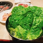 牛角 八戶Yurinoki通店 - 生菜10片￥605