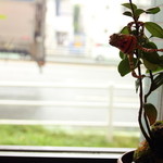 エドマッチョ - 