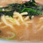 横浜らーめん 本牧家 - ラーメン中盛(近景)