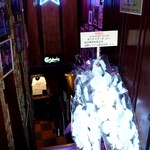 君こそスターだ - 開店祝いの胡蝶蘭