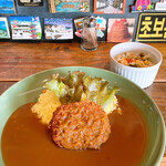ナッシュカリーアメリカン - 