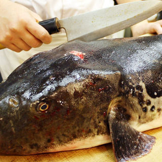 If you want to enjoy delicious blowfish, be sure to visit Tsukasa *Seasonally limited*
