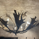 ジビエレストラン ゾイ - 