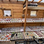 ロッキーガーデン - 多肉植物も有名な人お店