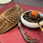 プレゼンテ スギ - 