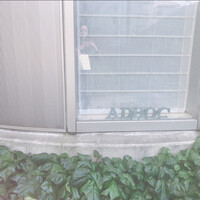 ad hoc  - 