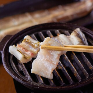 Specialty! Grilled live conger eel