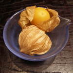 時の宿 すみれ - 