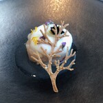 COUCAGNO - 帆立貝と甘海老のタルタル。百合根のエスプーマ