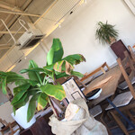 パウロ アンド ボルガ - 内観①