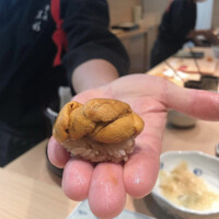 黒杉 - 