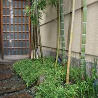 京都祇園 天ぷら八坂圓堂 - とっても素敵なアプローチでした