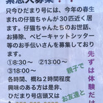 保護猫カフェ ひだまり号 - ボランティアさん、緊急大募集