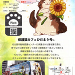 保護猫カフェ ひだまり号 - 保護猫カフェひだまり号の案内チラシ