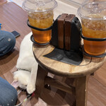 保護猫カフェ ひだまり号 - ドリンク置きテーブル