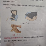 保護猫カフェ ひだまり号 - お猫様を抱かせて頂く時の注意点