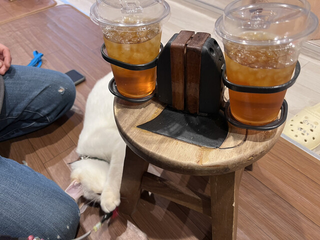 Hogoneko Cafe Hidamari Go